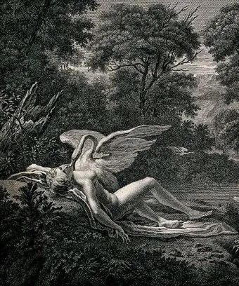 Leda and the Swan